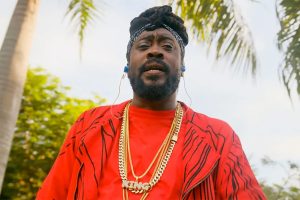 Beenie Man